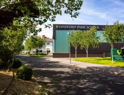 Emerald Cultural Institute (Sandford Park)